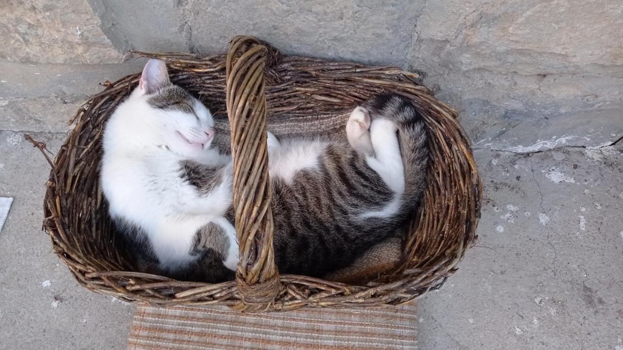 Lovas Vendégház Obanya Exterior foto